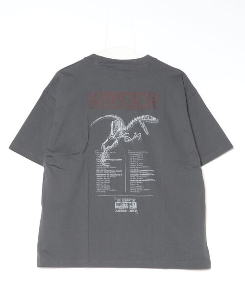 Jurassic Park 限定版　シルバープレート Amazon.com: FaNaTtik Jurassic Park Gate Silver Limited