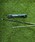 BEAMS GOLF�i�r�[���X�S���t�j�́u�y�ʒ��zGRAPHITE DESIGN / Tour AD �A���C�����g�X�e�B�b�N �Z�b�g�i�S���t�O�b�Y�j�v�b�z���C�g