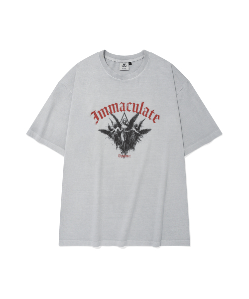 DYSFUNCT(ディスファンクト)の「IMMACULATE PIGMENT T-SHIRT(GRAY)(Tシャツ/カットソー・メンズ・その他・SMALL/MEDIUM/LARGE)」の1枚目の写真