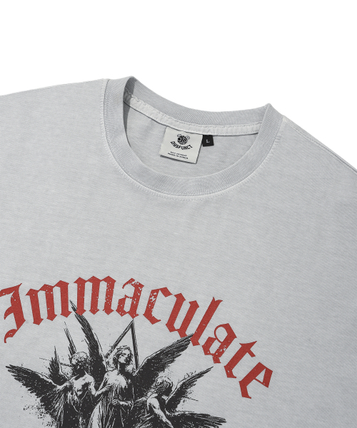 DYSFUNCT(ディスファンクト)の「IMMACULATE PIGMENT T-SHIRT(GRAY)(Tシャツ/カットソー・メンズ・その他・SMALL/MEDIUM/LARGE)」の4枚目の写真