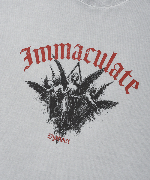 DYSFUNCT(ディスファンクト)の「IMMACULATE PIGMENT T-SHIRT(GRAY)(Tシャツ/カットソー・メンズ・その他・SMALL/MEDIUM/LARGE)」の5枚目の写真