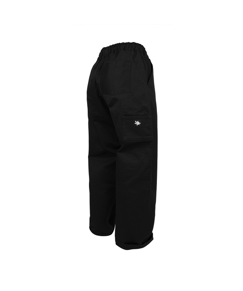 WHILE(ワイル)の「EASY2 CPT CLIMBING PANTS (BLACK)(その他パンツ・メンズ・その他・X-SMALL)」の1枚目の写真