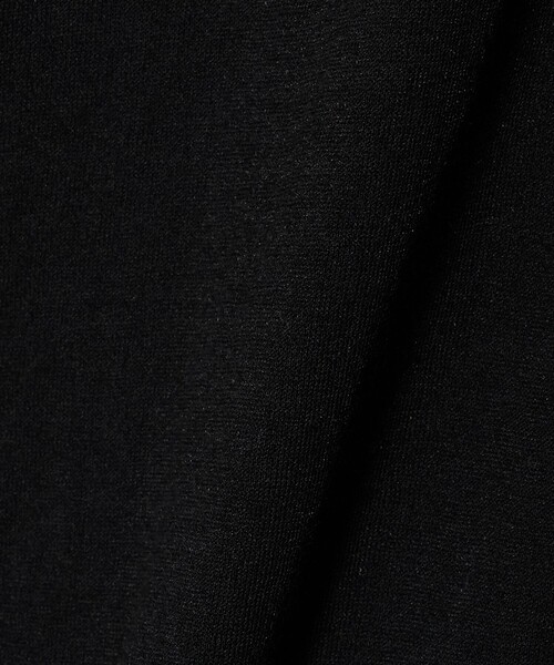 CITEN(シテン)の「<CITEN> ハーフスリーブシアーT(Tシャツ/カットソー・レディース・ホワイト/ブラック・FREE)」の14枚目の写真