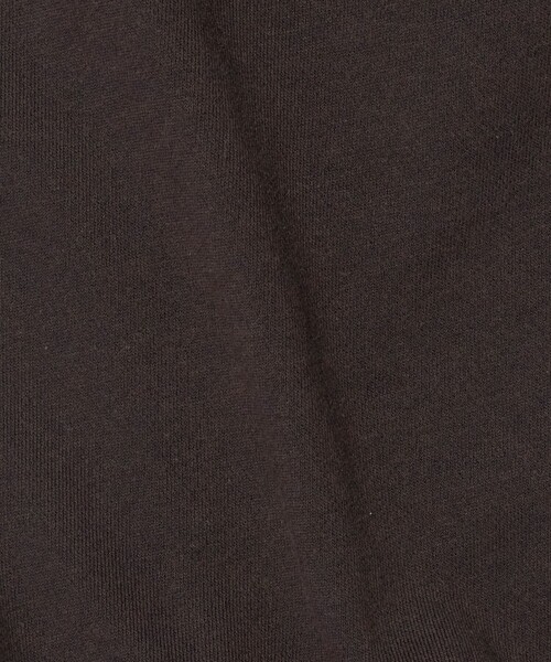 ATTISESSION(アティセッション)の「<ATTISESSION>コットン ウラケ オフショルダー スウェットトップス(Tシャツ/カットソー・レディース・ライトグレー/ダークブラウン・FREE)」の16枚目の写真