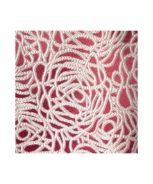 Cesario(シーザリオ)の「総柄コード刺繍 ジャガードフレアスカート(スカート・レディース・ブラウン/レッド・FREE)」の7枚目の写真