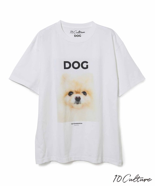 ADAM ET ROPE'（アダムエロペ）の「【DOG MAGAZINE×10C】《Lサイズ～》PHOTO T-SHIRTS（Tシャツ/カットソー・メンズ・ホワイト系その他2/スミクロ/ブラウン系その他/ブラック系その他/ベージュ系その他/ホワイト系その他/グレー・XL/L）」の2枚目の写真