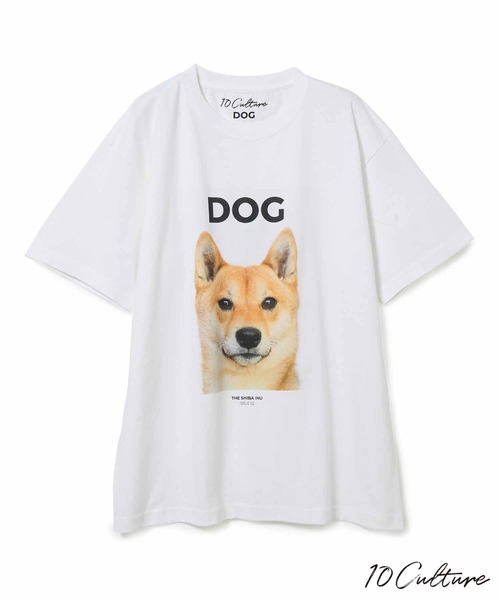 ADAM ET ROPE'（アダムエロペ）の「【DOG MAGAZINE×10C】《Lサイズ～》PHOTO T-SHIRTS（Tシャツ/カットソー・メンズ・ホワイト系その他2/スミクロ/ブラウン系その他/ブラック系その他/ベージュ系その他/ホワイト系その他/グレー・XL/L）」の7枚目の写真