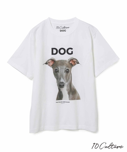 ADAM ET ROPE'（アダムエロペ）の「【DOG MAGAZINE×10C】《Lサイズ～》PHOTO T-SHIRTS（Tシャツ/カットソー・メンズ・ホワイト系その他2/スミクロ/ブラウン系その他/ブラック系その他/ベージュ系その他/ホワイト系その他/グレー・XL/L）」の6枚目の写真