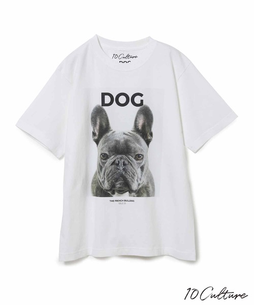 ADAM ET ROPE'（アダムエロペ）の「【DOG MAGAZINE×10C】《Lサイズ～》PHOTO T-SHIRTS（Tシャツ/カットソー・メンズ・ホワイト系その他2/スミクロ/ブラウン系その他/ブラック系その他/ベージュ系その他/ホワイト系その他/グレー・XL/L）」の5枚目の写真