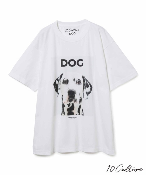ADAM ET ROPE'（アダムエロペ）の「【DOG MAGAZINE×10C】《Lサイズ～》PHOTO T-SHIRTS（Tシャツ/カットソー・メンズ・ホワイト系その他2/スミクロ/ブラウン系その他/ブラック系その他/ベージュ系その他/ホワイト系その他/グレー・XL/L）」の3枚目の写真