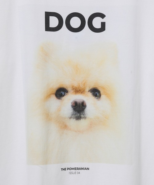 ADAM ET ROPE'（アダムエロペ）の「【DOG MAGAZINE×10C】《Lサイズ～》PHOTO T-SHIRTS（Tシャツ/カットソー・メンズ・ホワイト系その他2/スミクロ/ブラウン系その他/ブラック系その他/ベージュ系その他/ホワイト系その他/グレー・XL/L）」の8枚目の写真