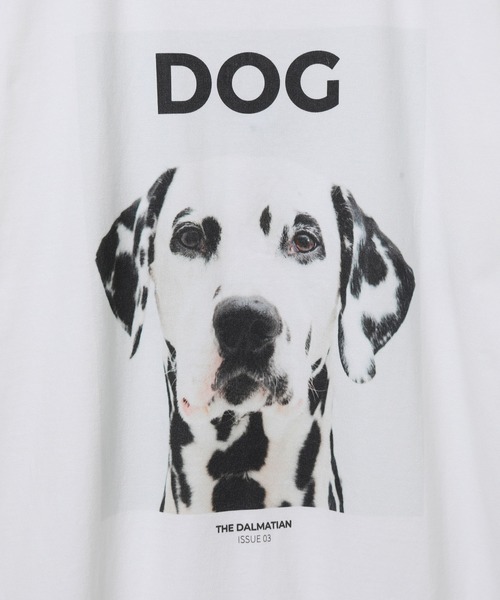 ADAM ET ROPE'（アダムエロペ）の「【DOG MAGAZINE×10C】《Lサイズ～》PHOTO T-SHIRTS（Tシャツ/カットソー・メンズ・ホワイト系その他2/スミクロ/ブラウン系その他/ブラック系その他/ベージュ系その他/ホワイト系その他/グレー・XL/L）」の9枚目の写真