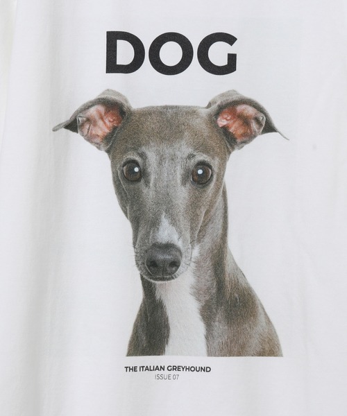 ADAM ET ROPE'（アダムエロペ）の「【DOG MAGAZINE×10C】《Lサイズ～》PHOTO T-SHIRTS（Tシャツ/カットソー・メンズ・ホワイト系その他2/スミクロ/ブラウン系その他/ブラック系その他/ベージュ系その他/ホワイト系その他/グレー・XL/L）」の12枚目の写真