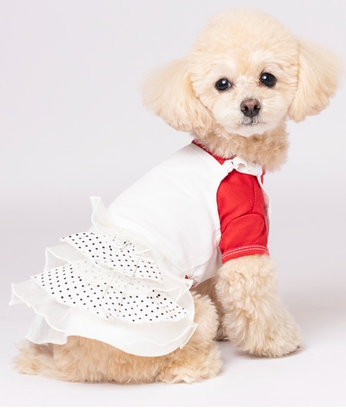 【Parfest/パルフェスト】スカート/ワンピース/犬服（ドッグウェア）