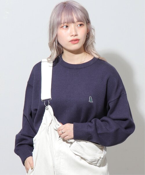 DOUBLE NAME（ダブルネーム）の「ミニ恐竜ワッペンもちもちジャガードニットプルオーバー/ユニセックス可（ニット/セーター・レディース・グリーン/ピンク/ネイビー/キナリ・FREE）」の14枚目の写真