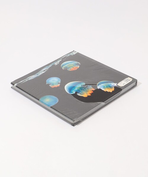 JAMES PERSE（ジェームスパース）の「SEA BOOK ABK2069（本・メンズ・その他1・FREE）」の2枚目の写真