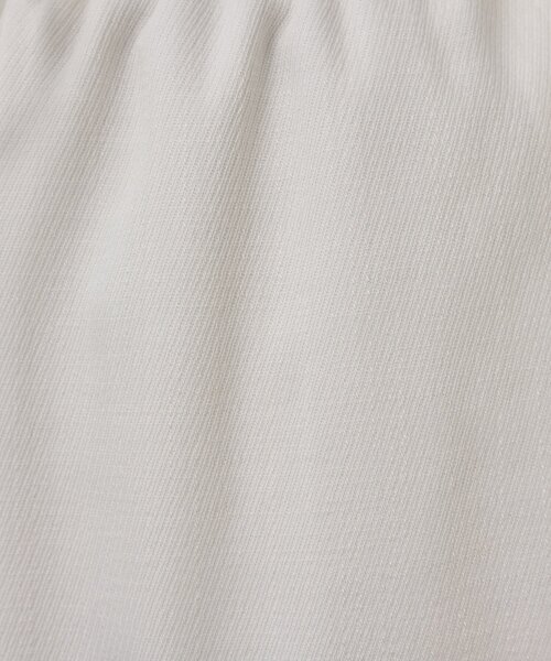 BEARDSLEY(ビアズリー)の「デニム風トラックパンツ(その他パンツ・レディース・インディゴブルー/ホワイト・0/1)」の13枚目の写真