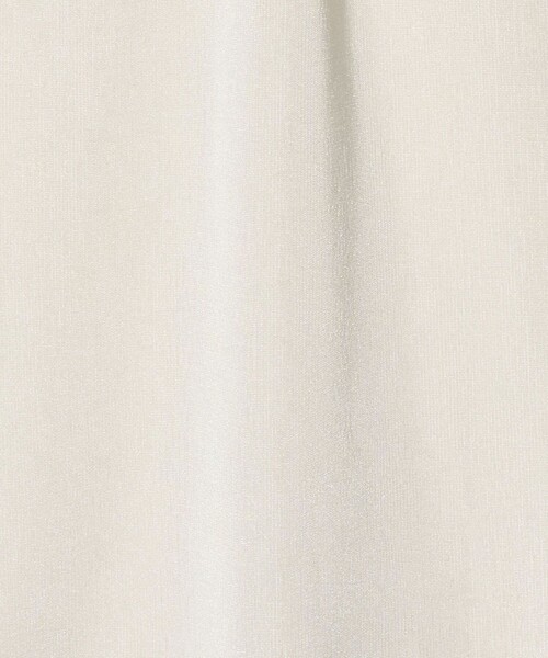 A DAY IN THE LIFE UNITED ARROWS(アデイインザライフユナイテッドアローズ)の「シャイニーリブ クルーネックTシャツ<A DAY IN THE LIFE>(Tシャツ/カットソー・レディース・ダークブラウン/ネイビー/ダークグレー/オフホワイト/ライトブルー・FREE)」の19枚目の写真