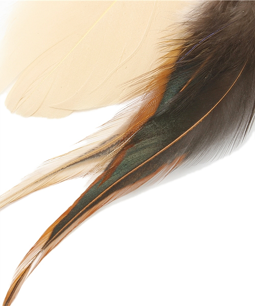 goa（ゴア）の「3種フェザー×コインネックレス（ネックレス・レディース・ブラウン/グリーン・FREE）」の7枚目の写真