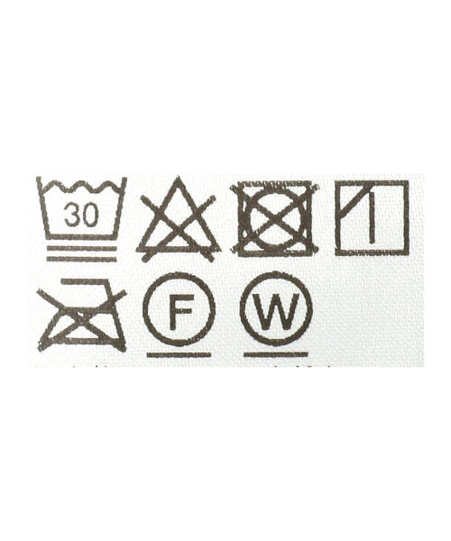 Ray BEAMS(レイビームス)の「RBS / シアー ペイズリー ハイネック カットソー(Tシャツ/カットソー・レディース・クリーム/ブルー系その他2・ONE SIZE)」の15枚目の写真