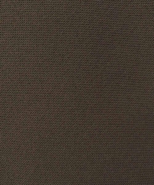 NOLLEY'S goodman（ノーリーズグッドマン）の「《ビジカジ対応》スキッパー 半袖ニットポロシャツ（ポロシャツ・メンズ・グレイッシュベージュ/ブラウン/ネイビー・L/M）」の20枚目の写真