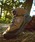KEEN�i�L�[���j�́uTARGHEE IV MID WP / �^�[�M�[ �t�H�[ �~�b�h �E�H�[�^�[�v���[�t / �����Y �o�R�C �g���b�L���O�V���[�Y �h���i�u�[�c�j�v�b�u���E��