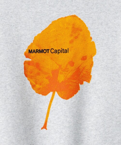 MARMOT CAPITAL（マーモットキャピタル）の「＜MARMOT CAPITAL＞ リーフ スウェット（スウェット・メンズ・ブラック/グレー・L/M）」の10枚目の写真