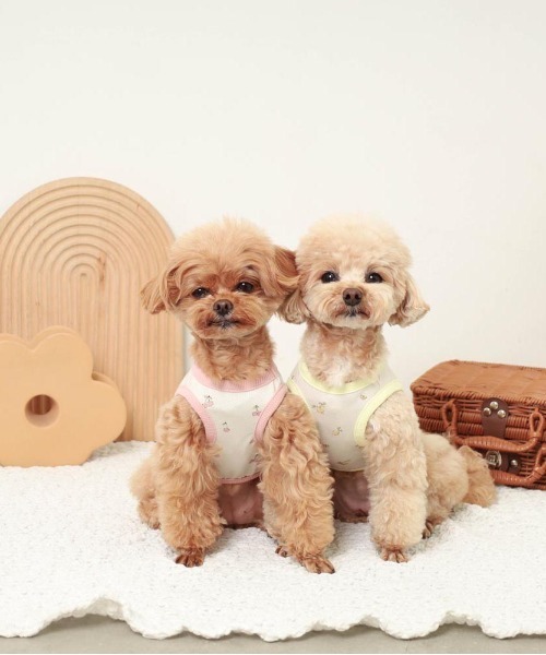 モンシェリ 犬服 3点セット Mサイズ モンシェリ 犬服 3点セット Mサイズ
