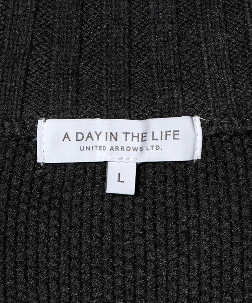 A DAY IN THE LIFE UNITED ARROWS(アデイインザライフユナイテッドアローズ)の「カノコ スタンドカラー ブルゾン-ウォッシャブル-<A DAY IN THE LIFE>(ブルゾン・メンズ・ダークグレー/ネイビー・M/L)」の14枚目の写真