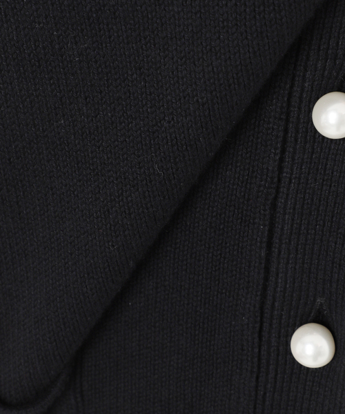 SLOBE IENA(スローブイエナ)の「《WEB限定/追加2》パールニットベスト(ベスト・レディース・ブラック/チャコールグレー・FREE)」の18枚目の写真