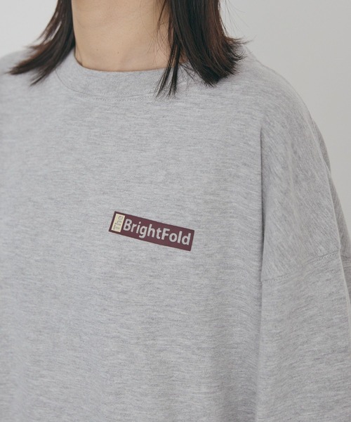 AMERICAN HOLIC(アメリカンホリック)の「カンパニーロゴ風ロングTシャツ(Tシャツ/カットソー・レディース・グレー/オフホワイト・FREE)」の12枚目の写真