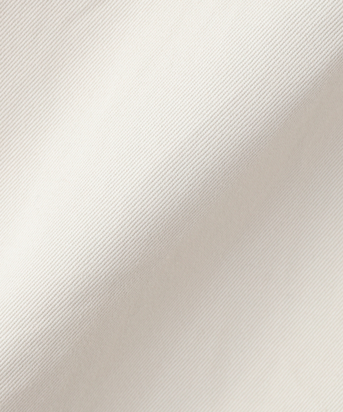 BARRY BRICKEN(バリーブリッケン)の「BARRY BRICKEN / バリーブリッケン WASHED CHINO PANTS(チノパンツ・メンズ・ベージュ/アイボリー・LARGE/MEDIUM/SMALL)」の5枚目の写真