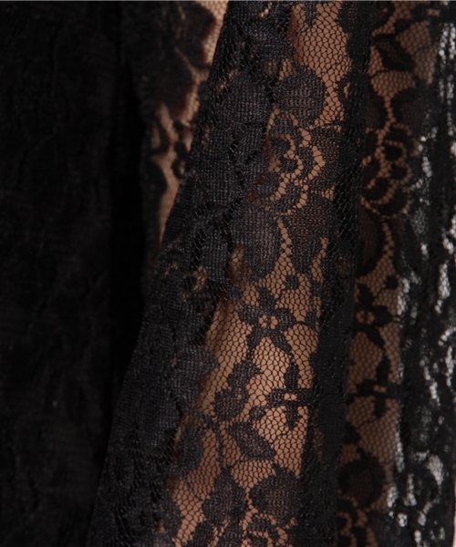 E hyphen world gallery（イーハイフンワールドギャラリー）の「スタンドカラーレースブラウス（シャツ/ブラウス・レディース・ブラック/オフホワイト・FREE）」の9枚目の写真