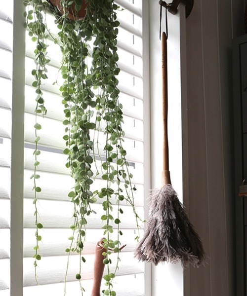 DULTON(ダルトン)の「FEATHER DUSTER 60cm(その他雑貨)」|その他
