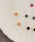 ammy.iGC~[hbgj́uy ammy. / GC~[hbg zoGeB[ }OlbgsAXiCOjvbF