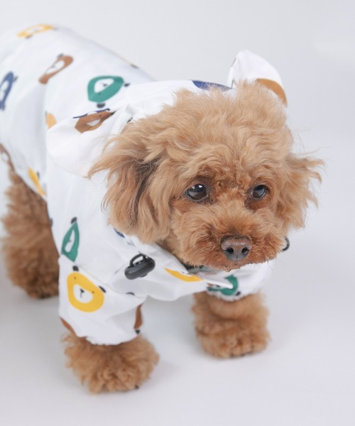 Amazon | 犬 帽子 耳出し 夏 uvカット 犬の帽子 野球帽 ペット