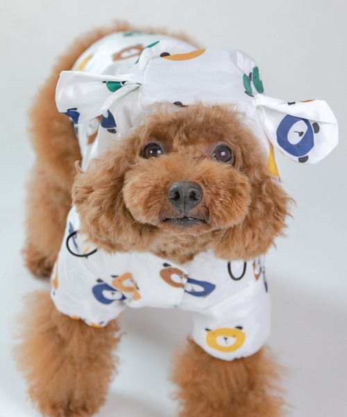 セール】クマ柄レインコート/犬服（ドッグウェア）（ペットウェア