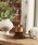 B:MING by BEAMSir[~OoCr[Xj́uP.F. CANDLE CO. / 7.2oz Soy Wax CandleiLhjvb̑2