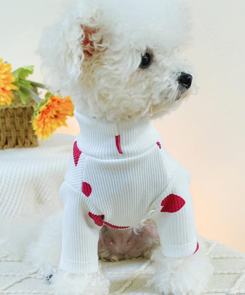 TONE SELECT GOODS（トーンセレクトグッズ）の「Liaa/ハート柄/犬服