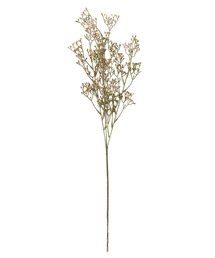 a.depeche(�A�f�y�V��)�́ya.depeche/�A�f�y�V���z�A�[�e�B�t�B�V�����t�����[ / ����  colorer ����(27-01-OR)(�t�����[�x�[�X)