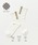 URBAN RESEARCH�i�A�[�o�����T�[�`�j�́u�wUR TECH�x�o�b�N���C���\�b�N�X�i�\�b�N�X/�C���j�v�b���C�g�J�[�L