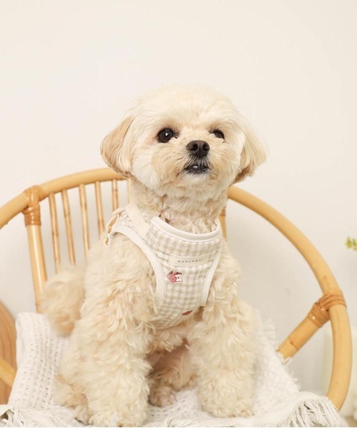犬用品 moncheri ハーネス リード セット チェック柄 りんご Mサイズ