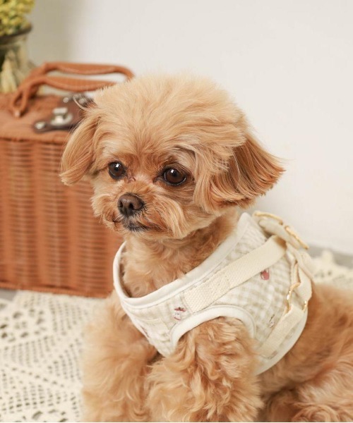 monchéri 犬用ハーネス チェック柄 りんご刺繍 monchéri 犬用ハーネス