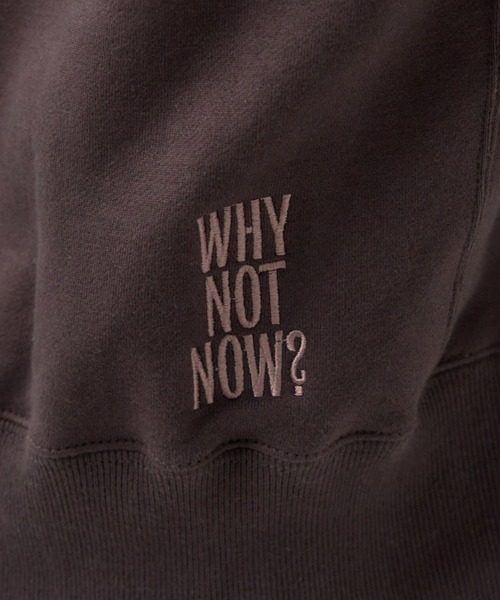 Chaos(カオス)の「Chaos(カオス)/◆WHY NOT NOW◆クースベイスウェットプルオーバー(スウェット・レディース・モカ/ブラウン/ベージュ・FREE)」の5枚目の写真