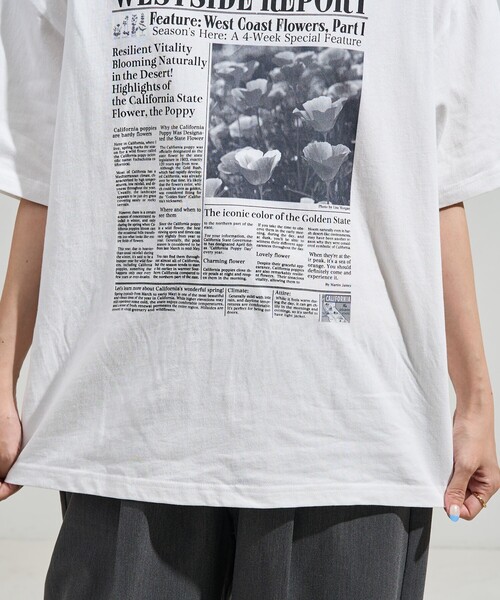 FREAK'S STORE(フリークスストア)の「news paper Tシャツ/ニュースペーパー プリントTシャツ(Tシャツ/カットソー・レディース・オフホワイト/チャコールグレー・ONE SIZE)」の15枚目の写真