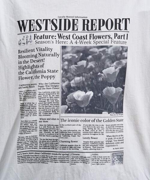 FREAK'S STORE(フリークスストア)の「news paper Tシャツ/ニュースペーパー プリントTシャツ(Tシャツ/カットソー・レディース・オフホワイト/チャコールグレー・ONE SIZE)」の16枚目の写真