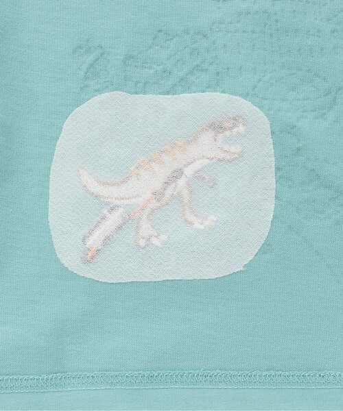 kladskap（クレードスコープ）の「【人気商品再入荷】【直営店で取り扱い無し】旅ザウルス/恐竜長袖Tシャツ（Tシャツ/カットソー・キッズ・オートミール/ライトブルー・90cm/100cm/110cm/120cm/130cm）」の6枚目の写真