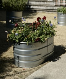 DULTON(_g)GALVANIZED TANK OVAL L/Jo[(t[x[X)