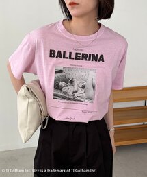 セール】ボーダー裾ギャザーT（Tシャツ/カットソー）｜CAPRICIEUX LE