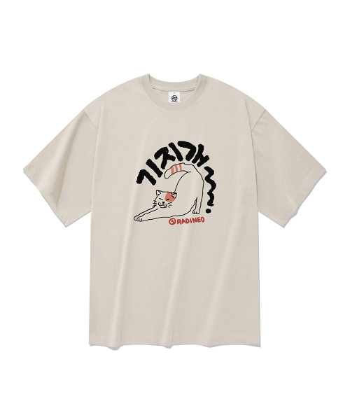 RADINEO(ラディネオ)の「ギジゲ半袖Tシャツベージュ(Tシャツ/カットソー・メンズ・その他・X-LARGE/SMALL/MEDIUM/LARGE)」の1枚目の写真